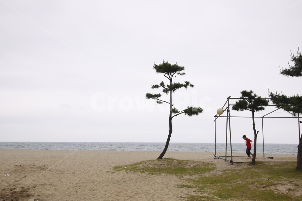 바다,해변,아이들,사람,해송,놀이,수평선,모래,자연,풍경,nature,landscape,해변,바다,beach,sea,사람,인물,인간,human,person,영유아,아기,애기,아이,infants,baby,여행,휴가,traveling,vacation,trip,tree,나무,plant,식물,outdoors,옥외