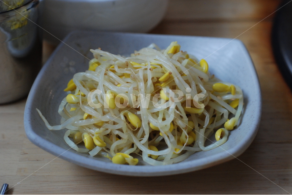 콩나물,무침,반찬,한국음식,나물,음식