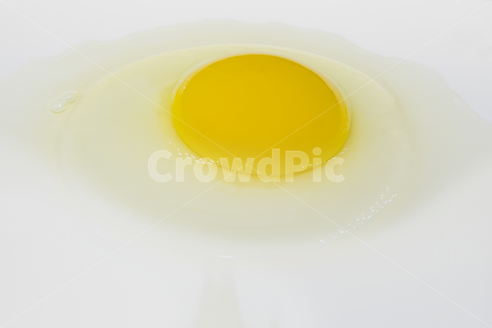 Easter,chicken,egg,yellow,white background,eggshell,life,preparation,flour,protein,uncooked,bird,eat,diet,tradition,cooking,kitchen,abandonment,table,group,product,nature,no one,tree,brown,yolk,dinner,Lunch,meal,nutrition,closeup,shell,Farm,epicurean,Isol