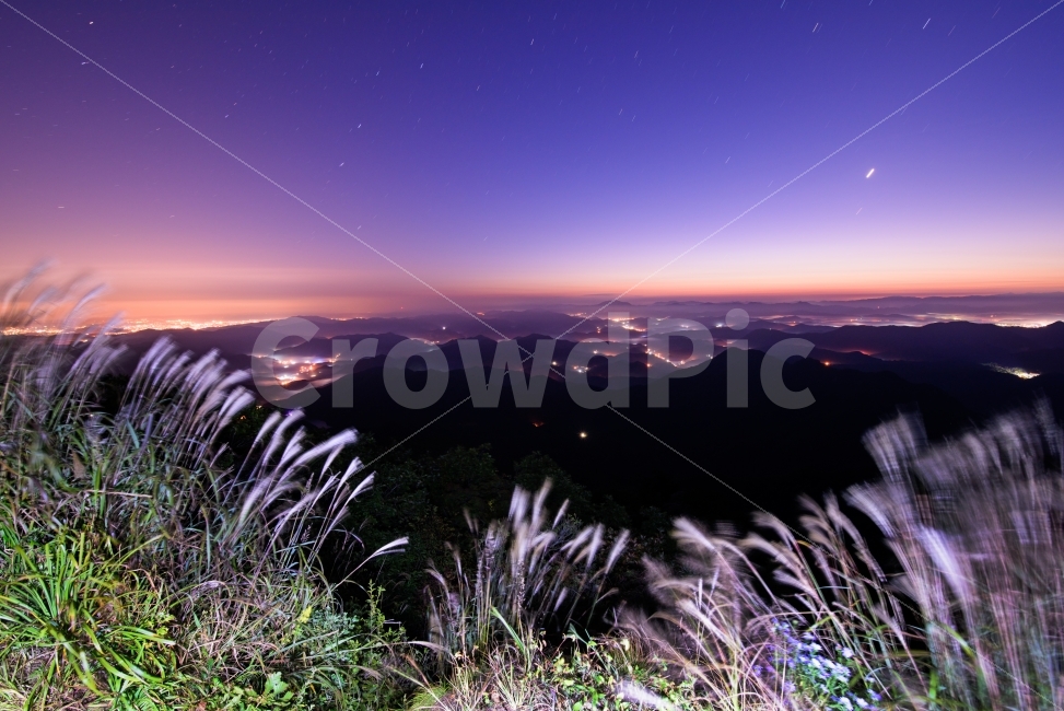 야경,풍경,산,대둔산,억새,landscape,자연,풍경,nature,landscape,야경,밤,nightscape,night,색깔,색상,색채,색감,color sense,color sensitivity,feeling of color,grass,잔디,plant,식물,flare,플레어,light,빛