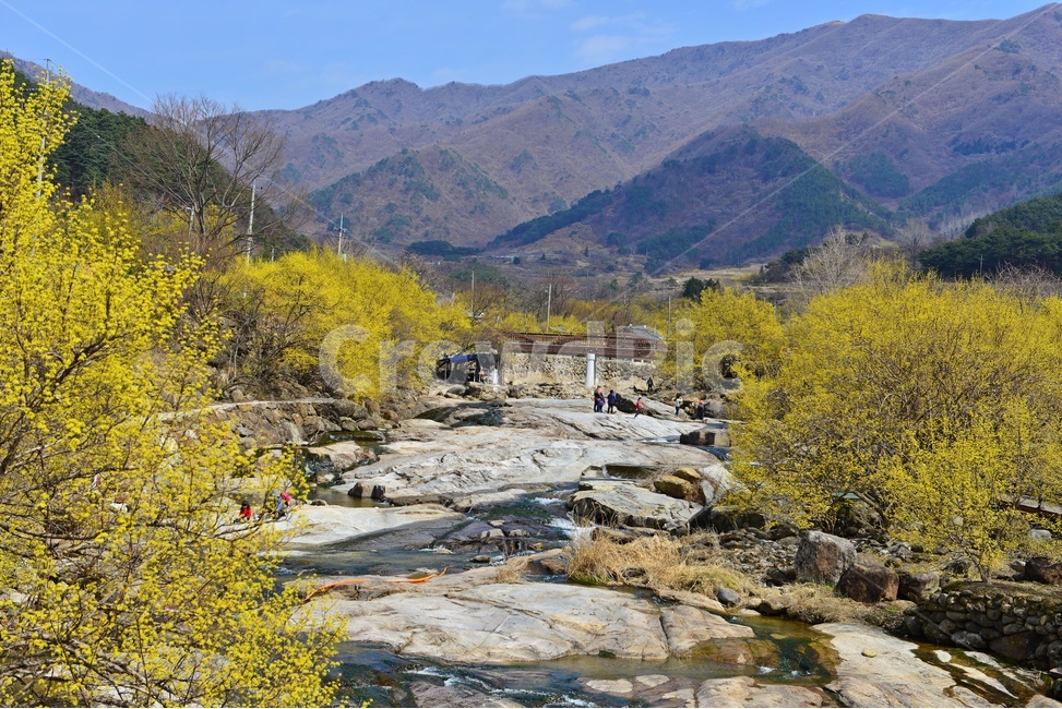 water,river,강,outdoors,옥외,nature,자연,waterfall,gravel,자갈,전남,구례,산동,산동마을,산수유,산수유마을,산동산수유마을,봄,산동봄,계절,노랑꽃,산수유꽃,만복대,경치,경관,풍경,자연,풍경,nature,landscape