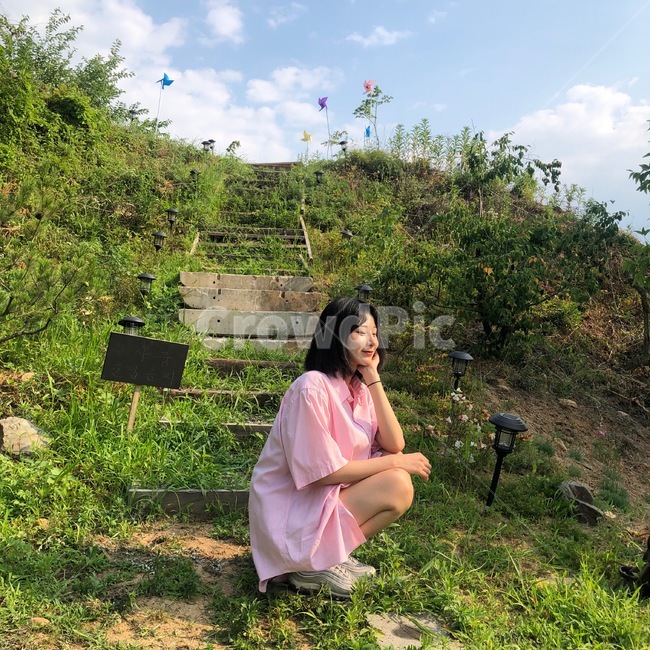 푸른,숲,생기,봄,여름