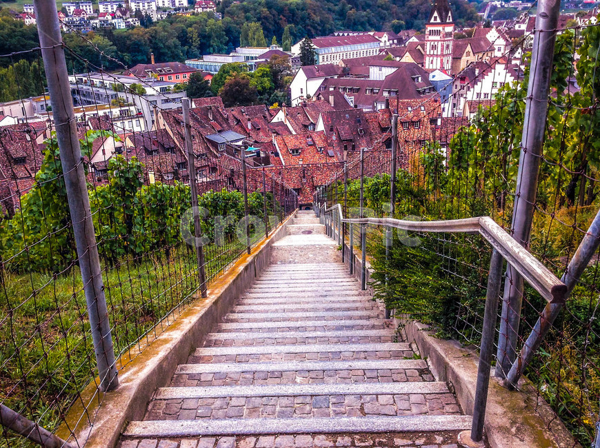 계단,난간,포도나무,마을,스위스,샤프하우젠,무노트요새,유럽,switzerland,stairs