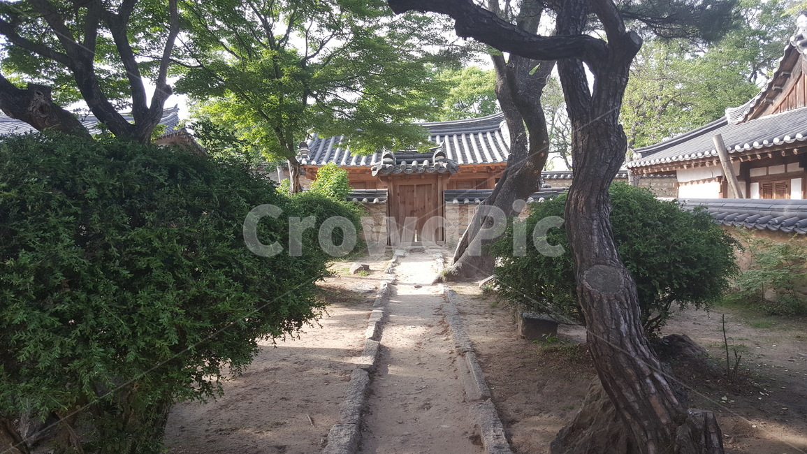 한옥,경주,기와집,돌담,문화재