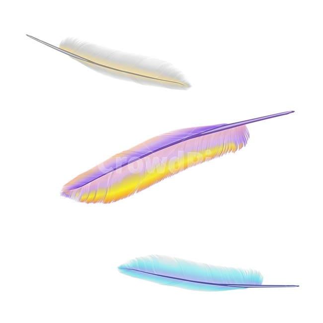 깃털,새털,가벼움,일러스트레이션,그래픽,feather,동물털,birdfeathers,디자인소스,illustration,graphic,디자인자료,칼라풀,colorful,object,오브젝트,사물,hair,털,그래픽,일러스트레이션,graphic,illustration