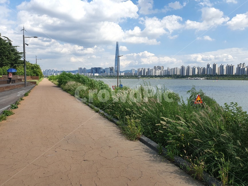 도시풍경,하늘,아파트,잠실,뚝섬풍경,도시,풍경,city,landscape,한국도시풍경,한국도시경관,korea cityscape,plant,식물,vegetation,초목,outdoors,옥외