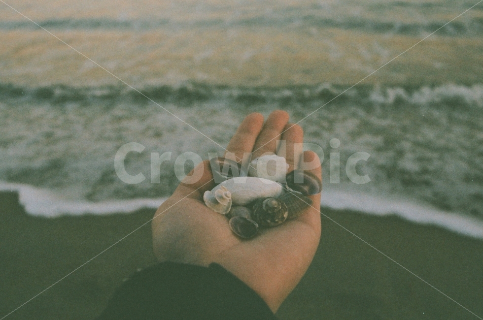 필름카메라,필름,filmcamera,film,35mm,바다,파도,조개,노을,해질녘,해변,바다,beach,sea,사람,인물,인간,human,person,신체일부,몸,body,감성,sensible,feeling