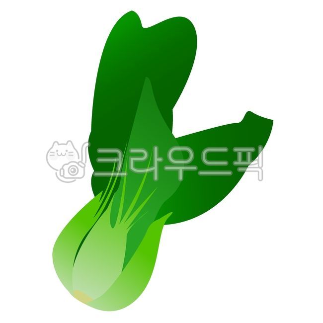 Vector file,vegetable,vertor,design elements,plant,vector,illustration,illust,graphic,bok choy,design source,object