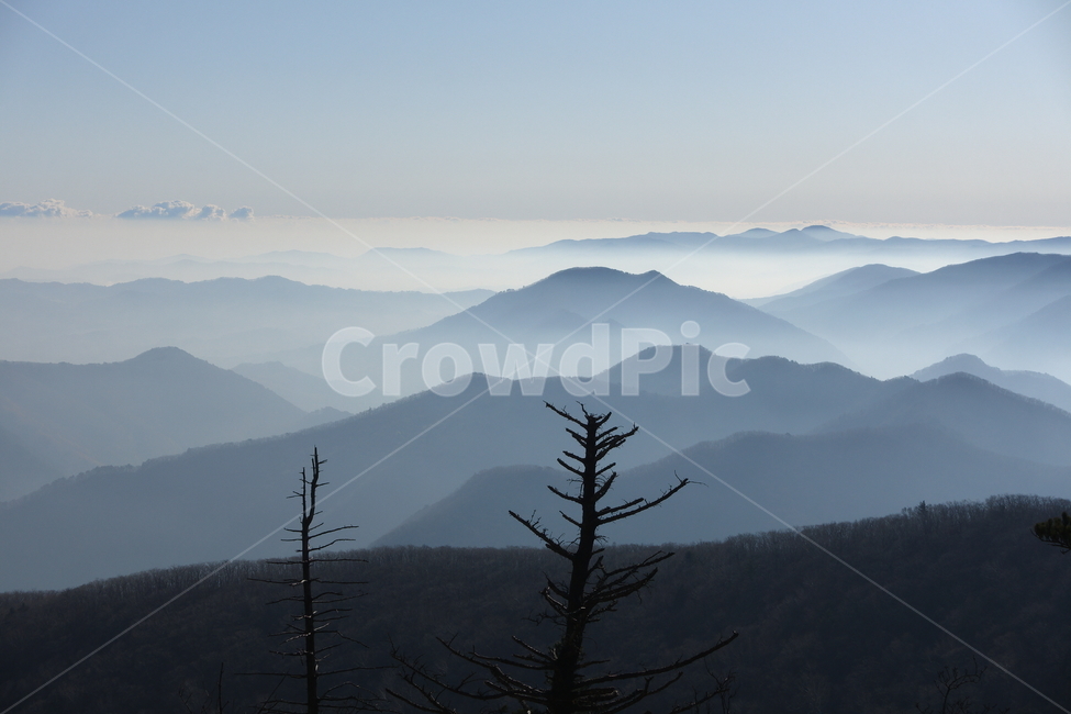 nature,자연,mountainrange,outdoors,옥외,mountain,산,발왕산,정상,안개,운무,구름,실루엣,산정상,자연,풍경,nature,landscape