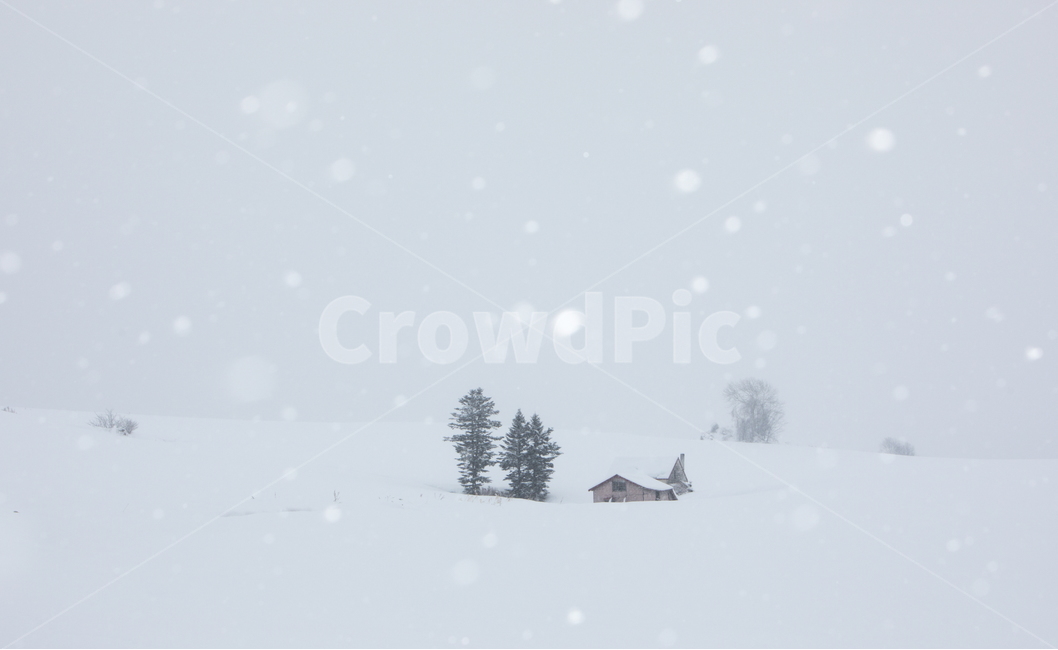설경,눈,비에이,북해도,겨울풍경,snow,겨울,계절,winter,season,자연,풍경,nature,landscape,해외,외국,세계,foreign,oversea,world,세계자연풍경,해외자연풍경,외국자연풍경,world nature landscape,outdoors,옥외,storm,폭풍,blizzard,눈보라