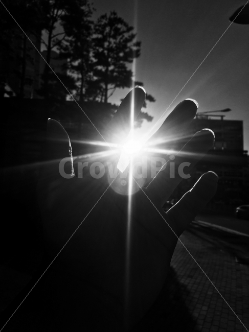 손,빛,태양,하늘,빛줄기,라이트,하늘빛,사람,인물,인간,human,person,흑백,모노톤,monochrome,black and white