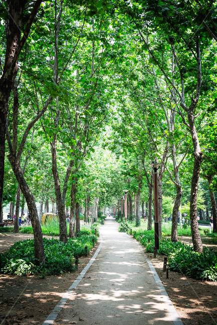 공원,산책길,산책로,나무,나무그늘,자연,풍경,nature,landscape,garden,정원,outdoors,옥외,arbour,정자