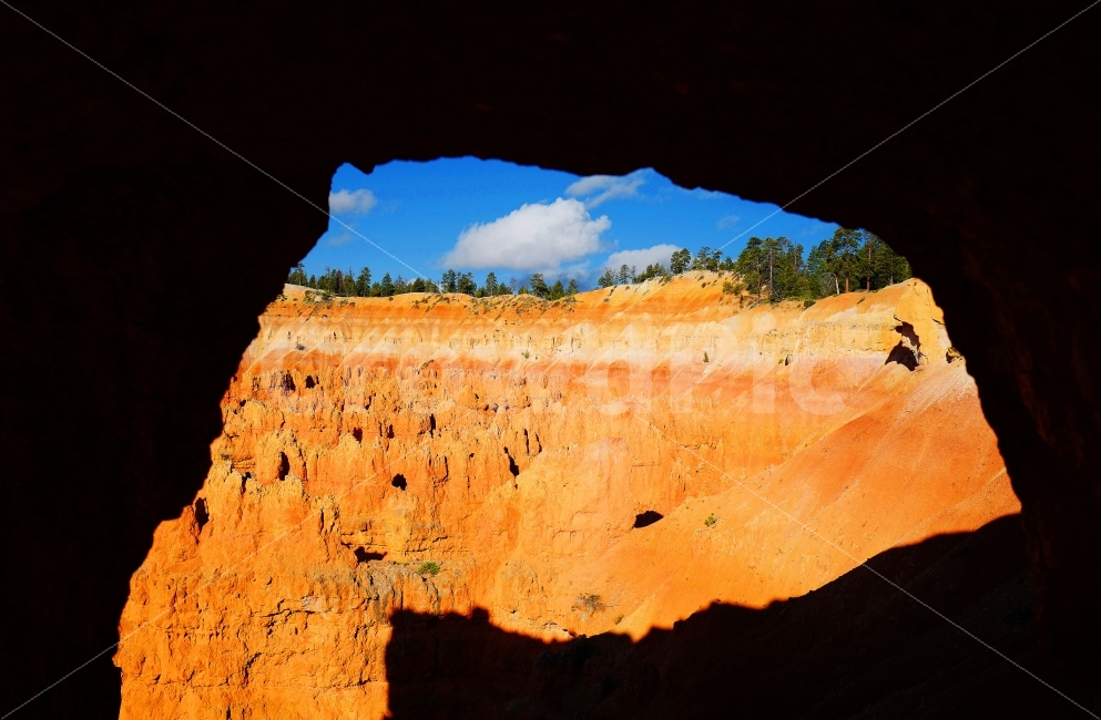 미국,대자연,미서부,브라이스캐니언,암석,BryceCanyon,자연,풍경,nature,landscape,해외,외국,세계,foreign,oversea,world,세계자연풍경,해외자연풍경,외국자연풍경,world nature landscape,fungus,진균류,outdoors,옥외