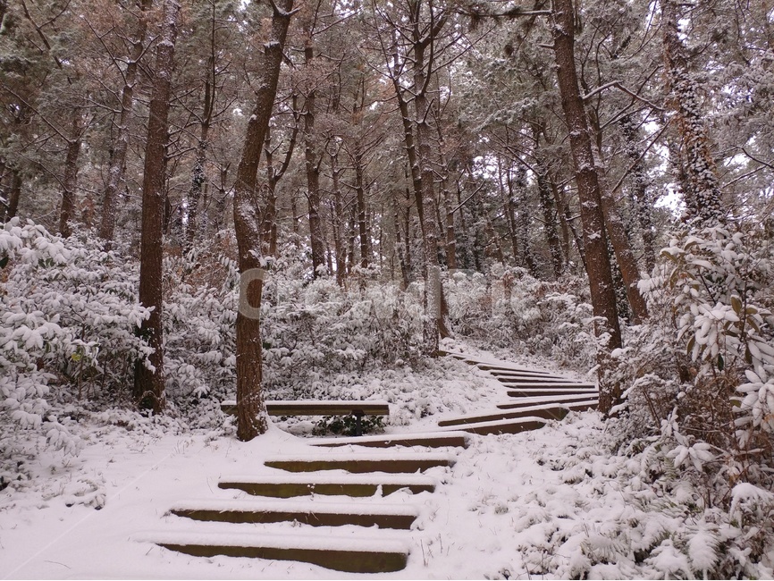 눈,겨울,풍경,감성,제주,제주풍경,하늘,구름,자연,바다,파도,겨울,계절,winter,season,자연,풍경,nature,landscape
