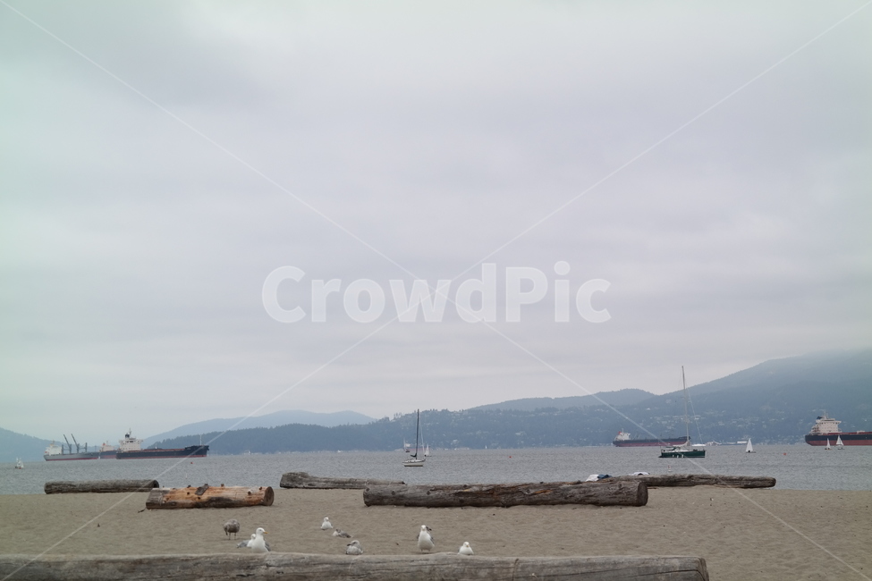 watercraft,선박,바다,sea,산,mountain,해변,beach