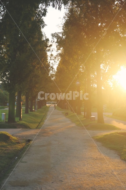 햇살,따스함,sunshine,warm,풍경,landscape,자연,풍경,nature,landscape,휴식,힐링,rest,relaxation,healing,light,빛,flare,플레어,sunlight,햇빛,grass,잔디,plant,식물