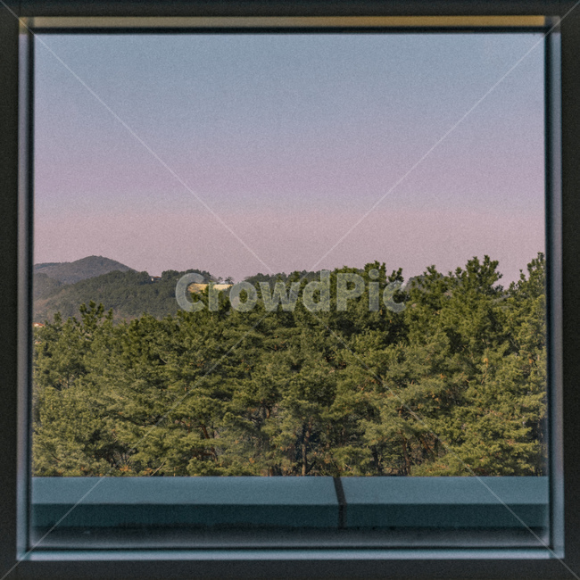 창,나무,프레임,네모,창문