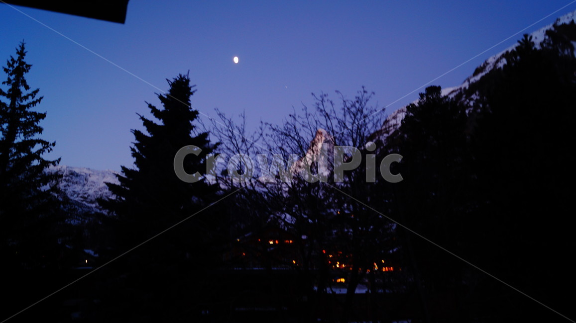 야경,보라색,분위기,산,나무,달,야경,밤,풍경,nightscape,night,landscape,식물,자연,plants,nature,나무,trees,wood