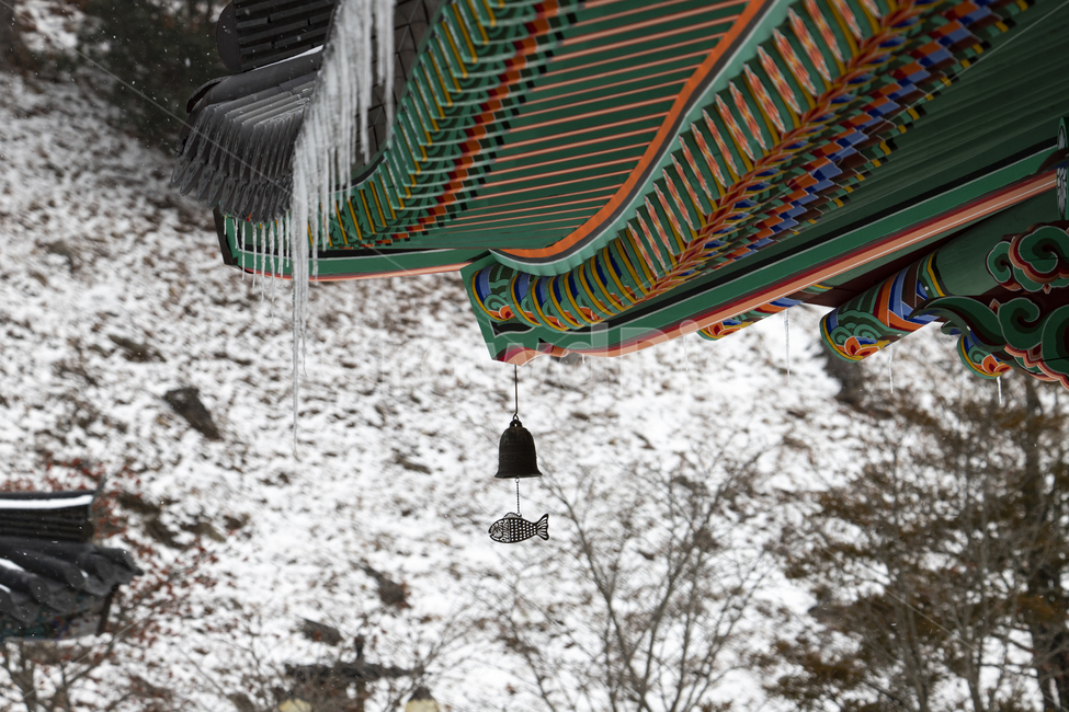종교,풍경,절,불교,건물,사찰,지붕,단청,풍경소리,기와,목조건물,하늘,종,물고기,잉어,처마,추녀,바람,전통,정암사,강원도,눈,계절,겨울,고드름,기와지붕