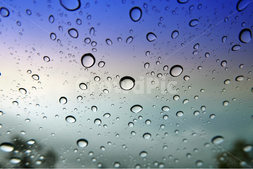 비,빗방울,물방울,빗물,유리,background,rain,바탕,배경,백그라운드,봄비,이슬비,보슬비,장마,흐림,흐린날,유리창,유리표면,바깥,회색,축축한,촉촉,패턴,질감,감성적,감성,생각,비오는날,방울방울,맺히다,흘러내리다,반투명,투명,습기,자연,한방울,나무,하늘,구름,차창,실내,보라색,색유리,추상적,비,비오는날,rain,rainy