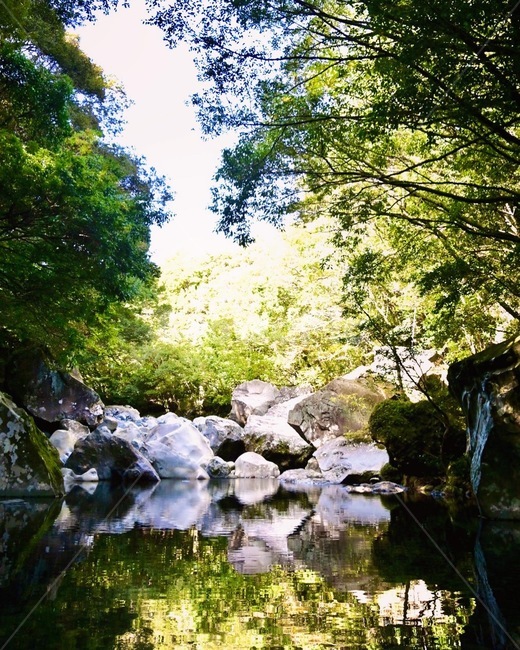 water,물,outdoors,옥외,nature,자연,creek,작은만,stream,흐름,자연,풍경,nature,landscape