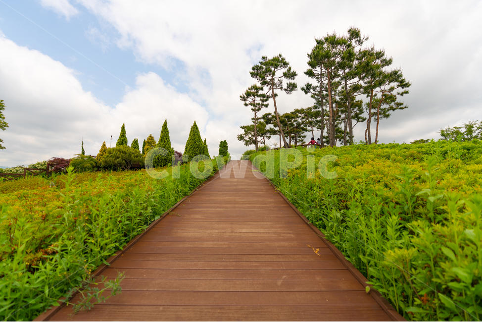 산책로,나무,평온,하늘,구름,식물,자연,풍경,nature,landscape,한국자연풍경,한국자연경관,korea nature landscape,building,건물,boardwalk,bridge,다리
