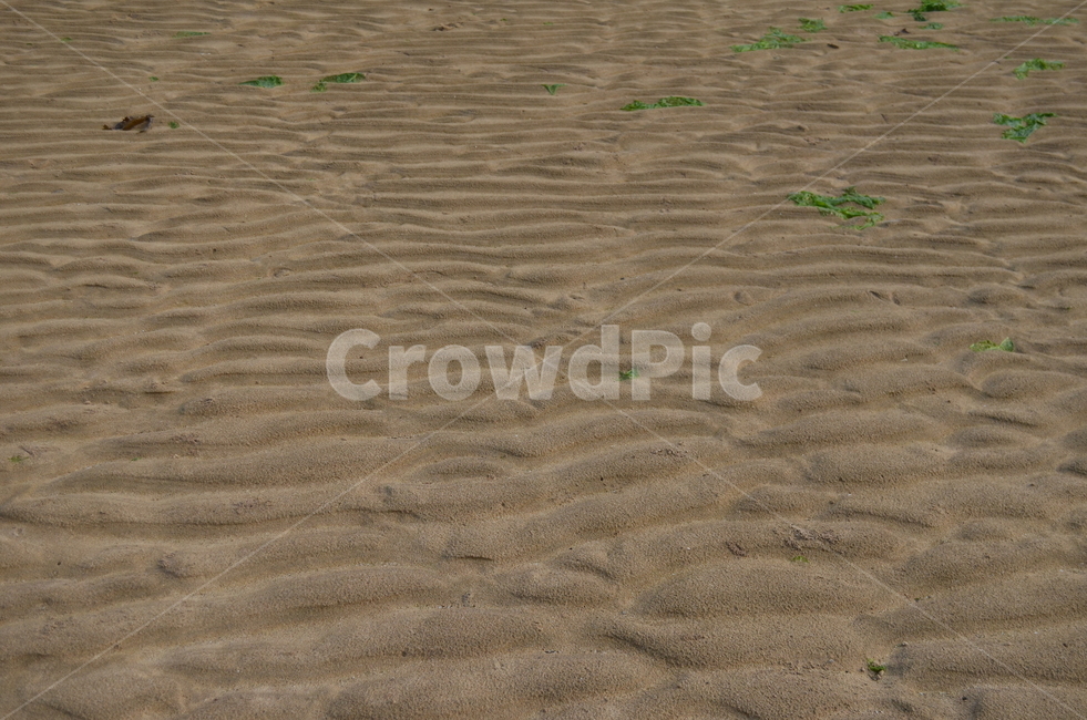 모래,sand,자연,흙,soil