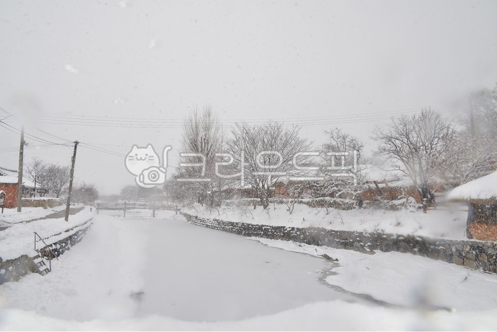 storm,snow scene,blizzard,nature,winter,white snow,snowy day,traditional,emotion,outdoors,snow,winter landscape