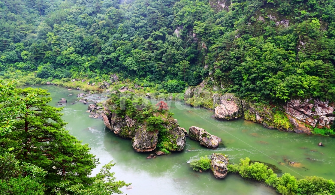 레프팅,동강,강,자연,물,어라연,자연,풍경,nature,landscape,한국자연풍경,한국자연경관,korea nature landscape,plant,식물,vegetation,초목,outdoors,옥외,land,땅