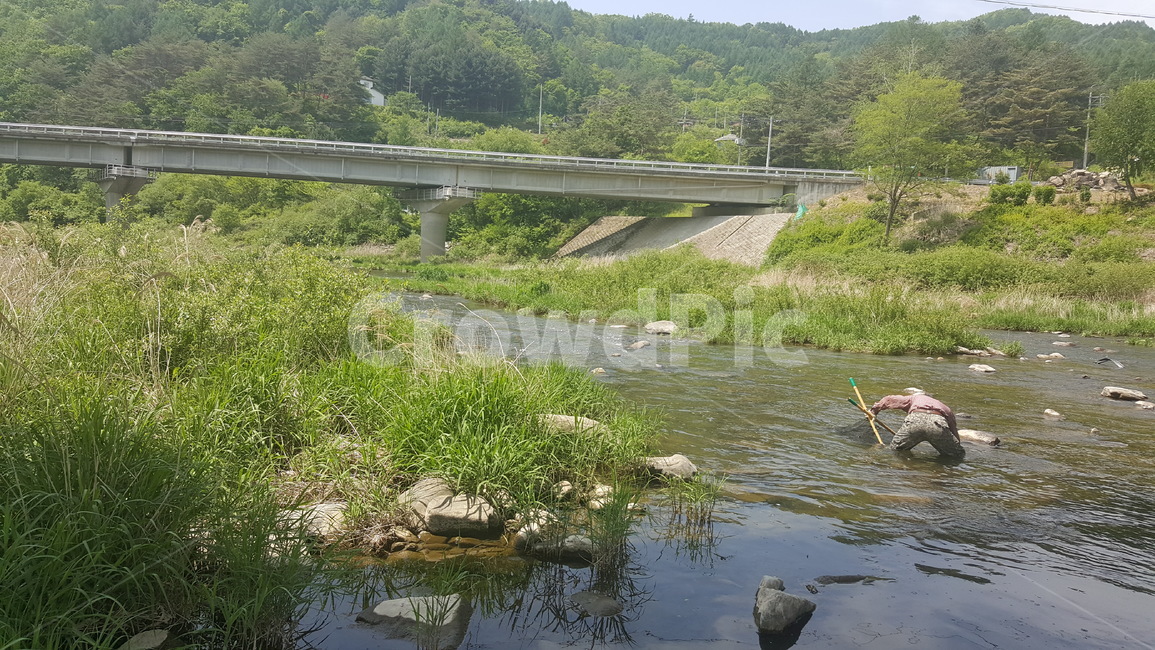 풍경,자연,landscape,nature,고기잡이,족대,천렵,강