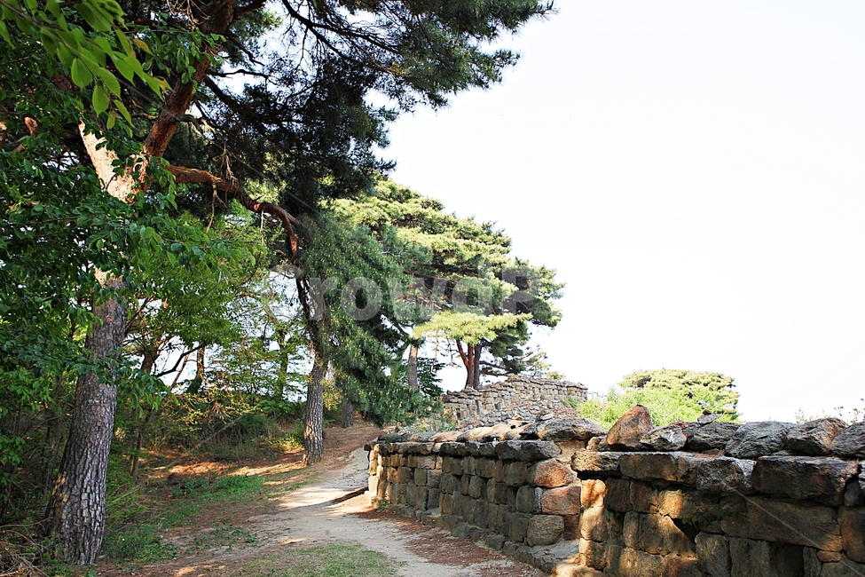 성,전등사,전등사성곽,돌담,숲길,자연,배경,풍경