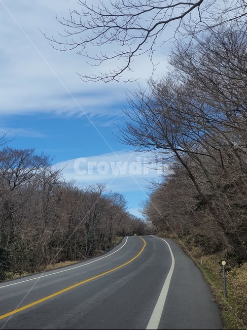 road,도로,자연,숲길,산길,자연,풍경,nature,landscape
