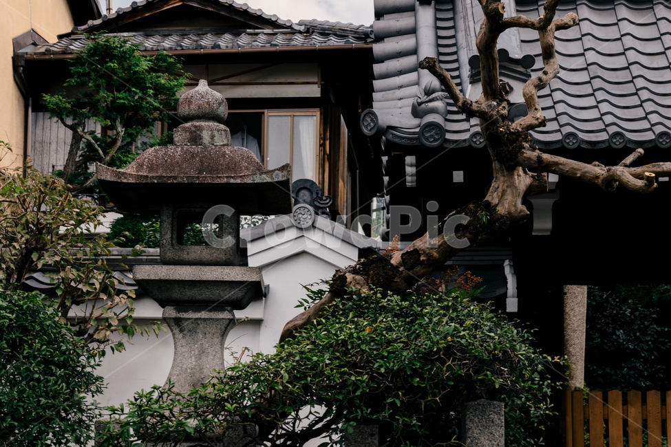 일본집,일본옛날집,일본가옥,일본,경치,건축물,건물외관,exterior,building,structure,architecture,construction