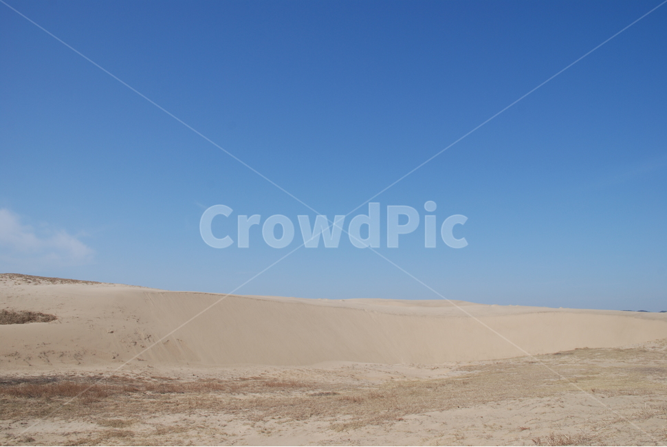 신두리,서해안,바다,풍경,모래,자연,풍경,nature,landscape,soil,흙,sand,outdoors,옥외,dune,모래 언덕