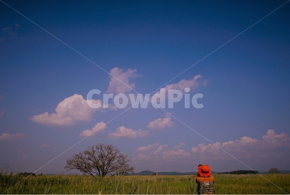 나무,초원,구름,사진가,우음도,자연,풍경,nature,landscape,사람,인물,인간,human,person,사진작가,포토그래퍼,photographer,outdoors,옥외,grassland,목초지,field,들