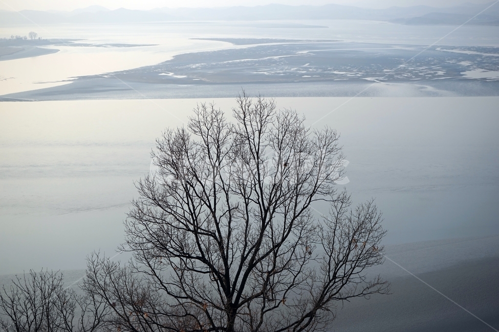 강,나무,하늘,갯벌,고요함,자연,적막함,겨울강,잿빛,회색,gray,river,calm,winter,풍경,lonely,solitary,lonesome,calmness,자연,풍경,nature,landscape,outdoors,옥외,weather,날씨