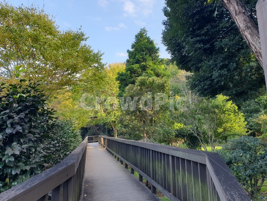 railing,handrail,난간,banister,bridge,다리,building,건물,path,통로,가좌산,산책로,가좌산산책,자연,나무