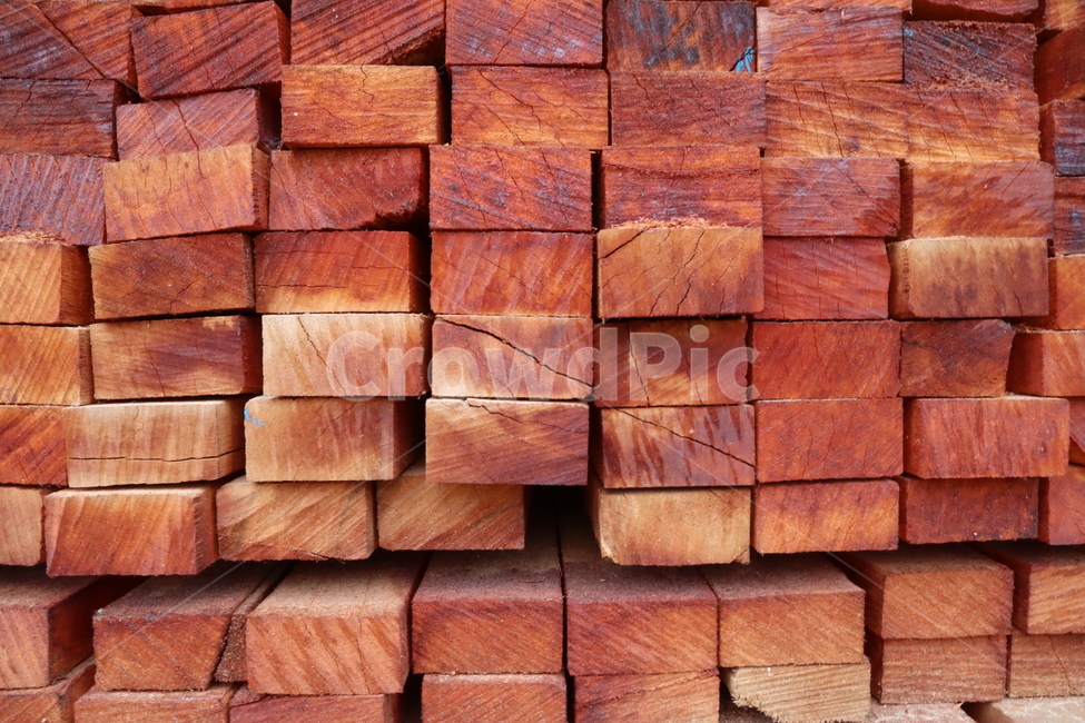 목재,나무,재목,나무조각,땔감,wood,tree,lumber,timber,firewood