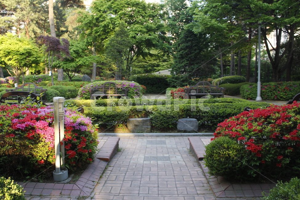 옥외,판석,정원,잔디,식물,grass,garden,outdoors,자연,풍경,nature,landscape