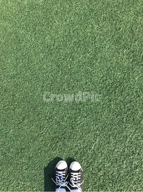 잔디,초록색,신발,감성,맑다