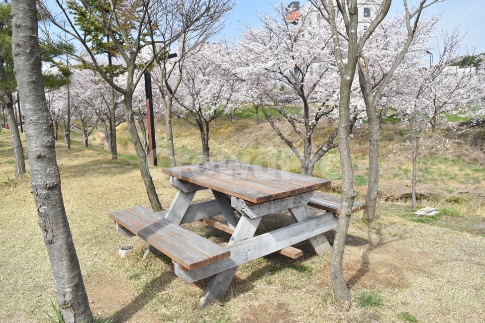 나무벤치,의자,기다림,외로움,벤치,쓸쓸함,나들이,chair,자연,풍경,nature,landscape,bench,plant,식물,table,표
