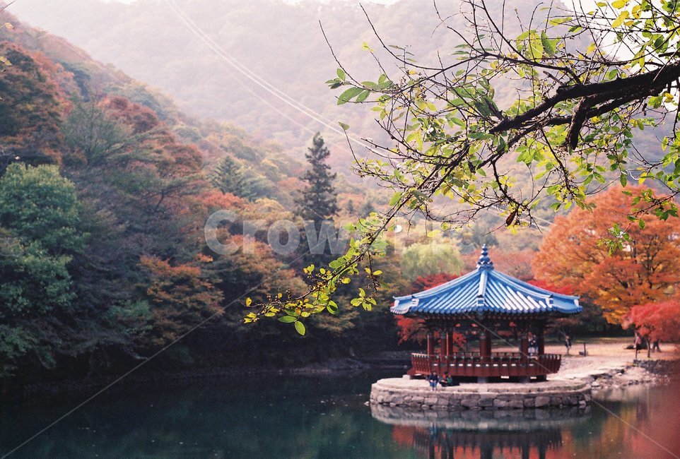 내장산,단풍,가을,호수,풍경,가을,계절,fall,autumn,season,자연,풍경,nature,landscape,한국자연풍경,한국자연경관,korea nature landscape,한국전통,한국문화,korean traditional,korean culture