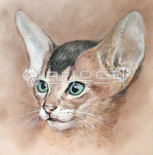 Companion cat portrait,pet painting,cat painting,cat portrait,Bengal cat painting,cat hand painting,cute cat painting,cat painting,realistic animal painting
