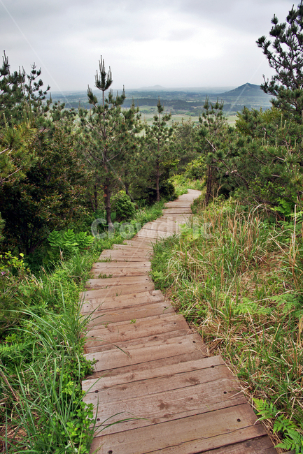 갑마장길,제주도,표선면,오름,따라비오름,기생화산,가시리,탐방로,자연,풍경,nature,landscape