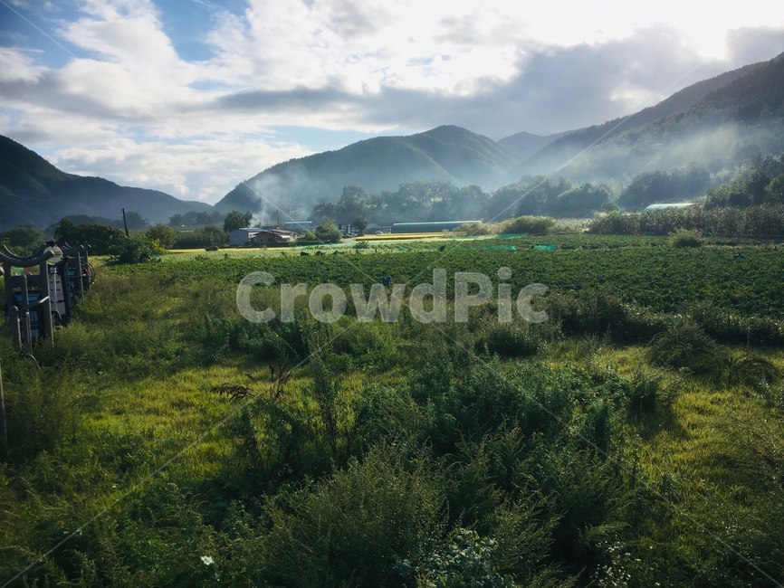 농촌,전원풍경,시골,운무,청송,시골,마을,풍경,landscape,country,rural,town