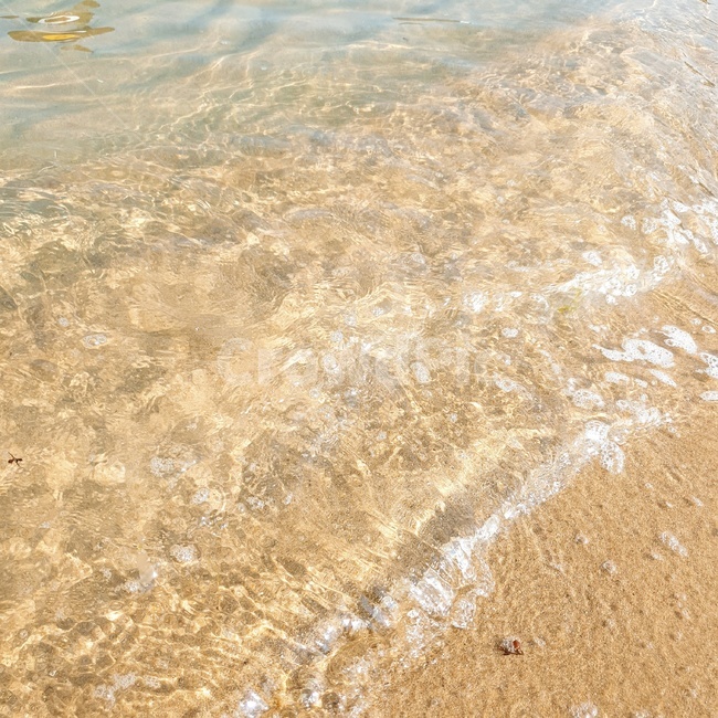 바다,물결,잔잔한,사원한,깨끗한,맑은,자연,sea,해변,바다,beach,sea