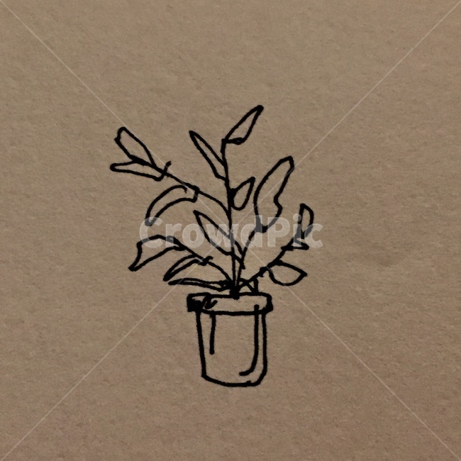 일러스트,꽃,화분,그림,풀,꽃그림,화분그림,그래픽,일러스트레이션,graphic,illustration