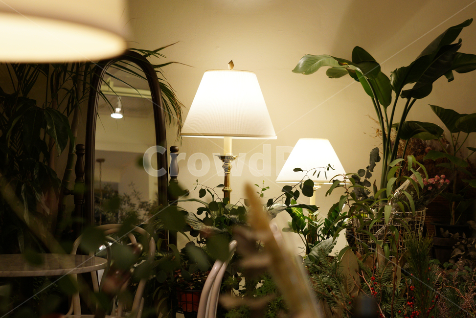 플라워카페,카페,조명,인테리어,자리,인테리어,실내디자인,interior design