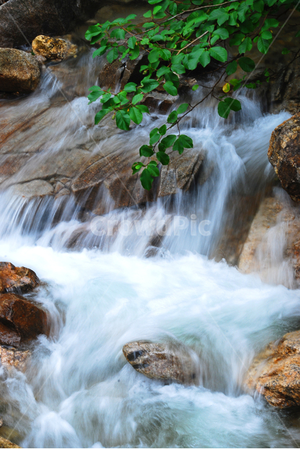 폭포,계곡,설악산,힐링,천불동계곡,물,명산,시원함,cool,valley,healing,water,summer,휴식,쉼,맑은,흐르다,flow,mountain,waterfall,landscape,nature,자연풍경,자연,풍경,계절,시즌,rest,한국자연풍경,여름,국림공원,자연,풍경,nature,landscape,river,강,outdoors,옥외