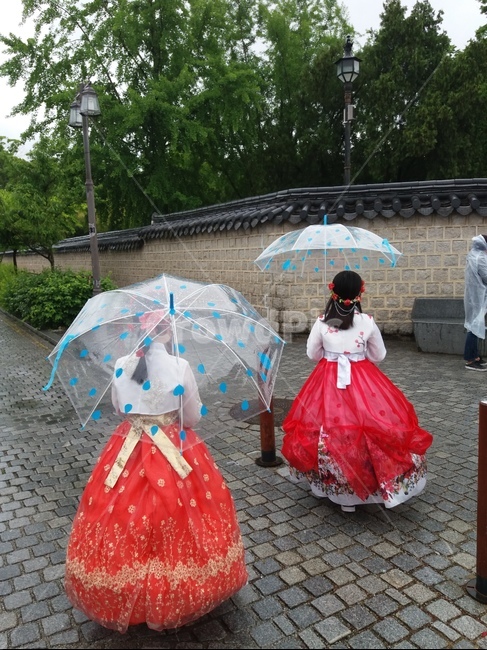 두소녀,우산쓴소녀,한복소녀,한복뒤태,빗속소녀,한국전통,한국문화,korean traditional,korean culture
